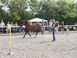 IMG_1349_web